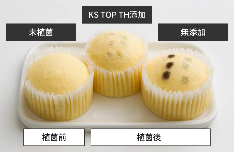 KS TOP TH